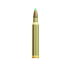 Kulový náboj SB 300WinMag PTS 180grs 11,7g
