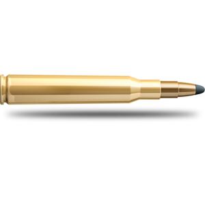 Náboj SB 7x64 SPCE 173grs 11,2g