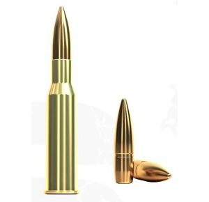 Kulový náboj SB 7,62x54R FMJ 180grs 11,7g (50ks)