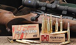 Náboj kulový Hornady, Custom International, 8x57JS, 195gr/12,6g, InterLock SP