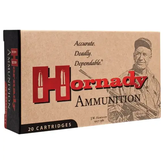 Kulový náboj Hornady Custom .450 Bushmaster 250grs FTX